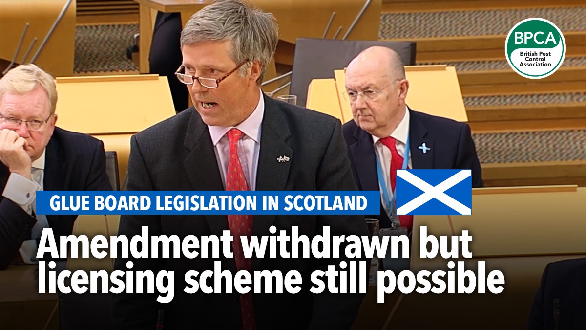 glue-boards-legislation-in-scotland-amendment-withdrawn-hero